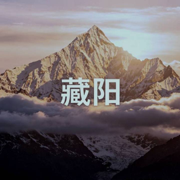 藏阳｜李离角色頭像