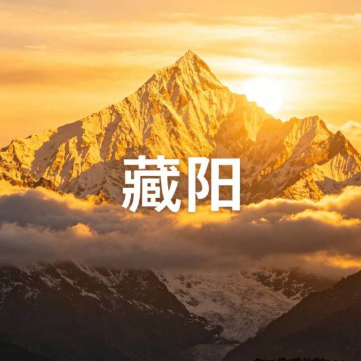 藏阳｜安阳角色頭像