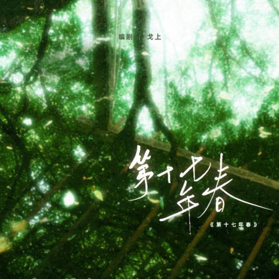 第十七年春｜剧本图片2