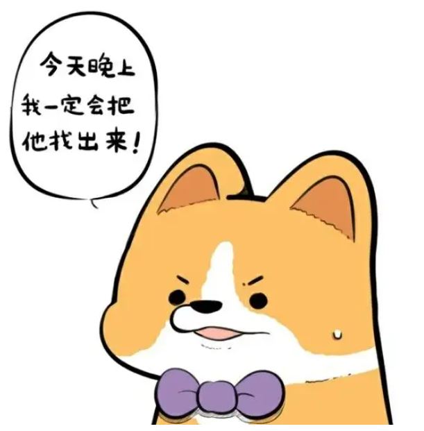 来福与旺财｜剧本图片3