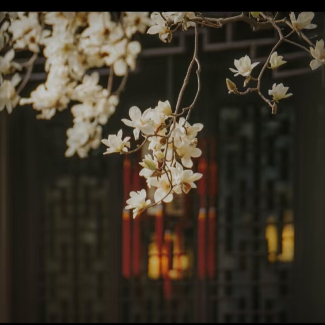锁麟囊｜剧本图片2