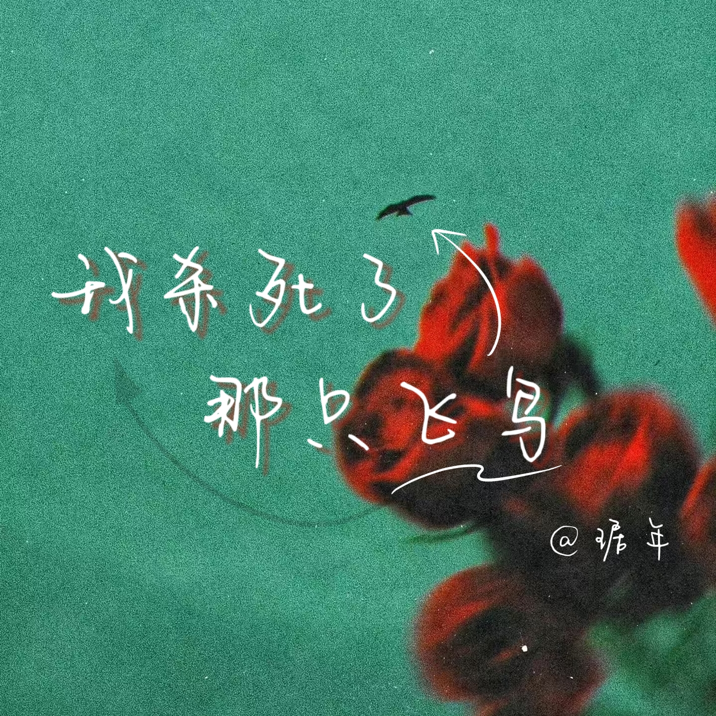 我杀死了那只飞鸟｜剧本图片2