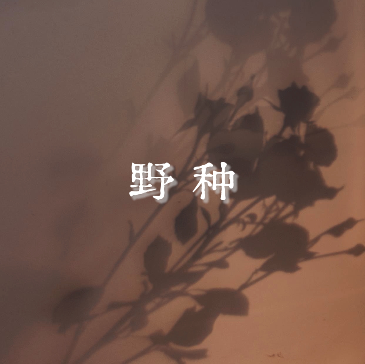 野 种｜剧本图片2