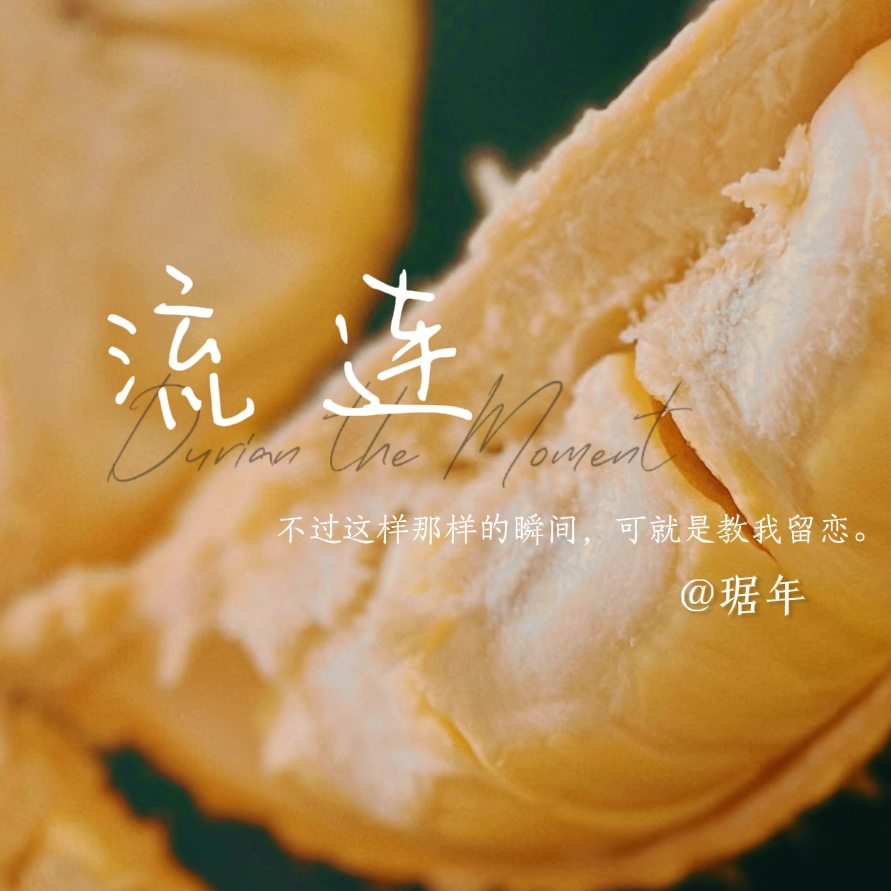 流连｜剧本图片2