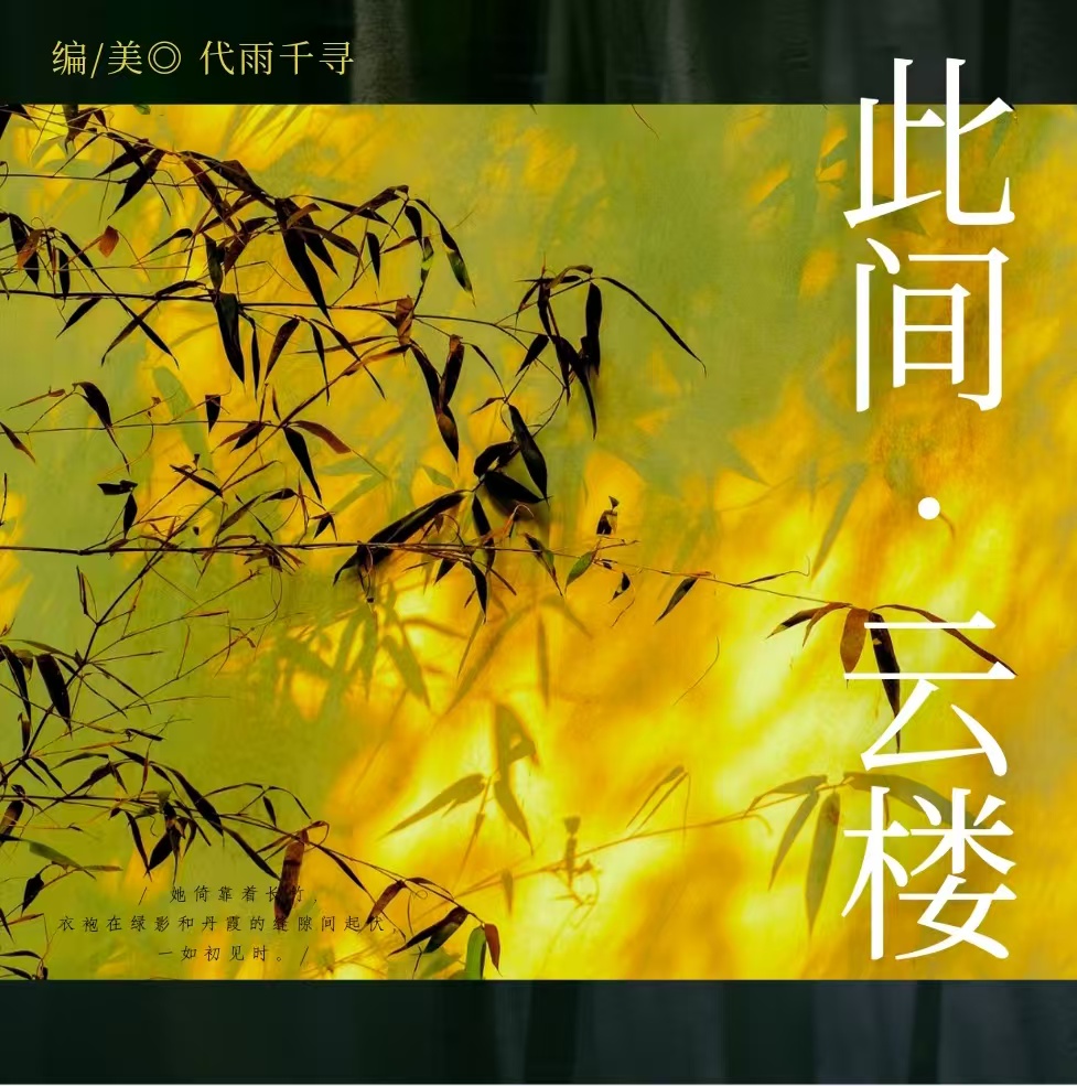 此间·云楼|剧本图片2