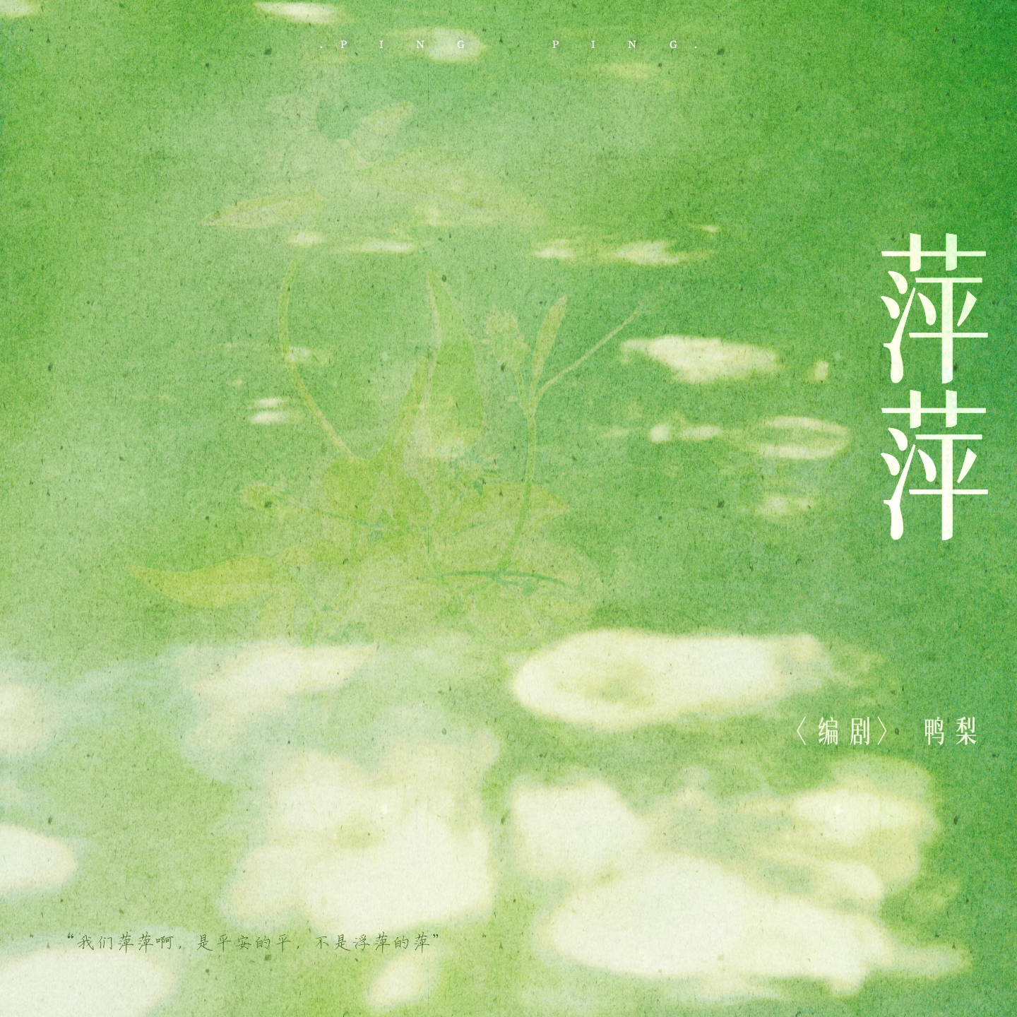 萍萍｜剧本图片2