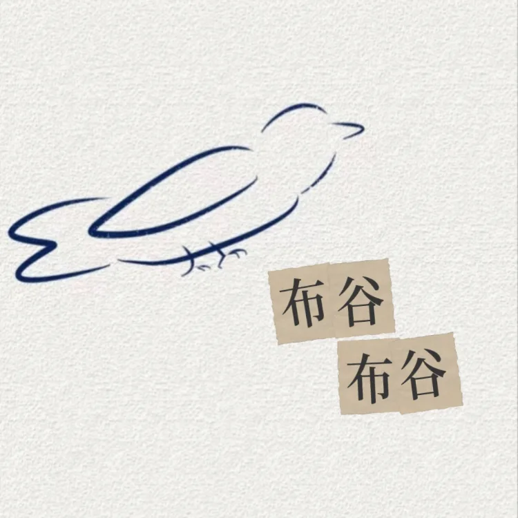 布谷 布谷｜剧本图片2