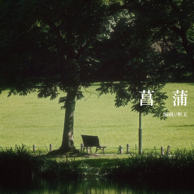 菖蒲｜剧本图片2
