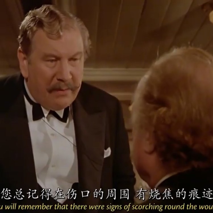 尼罗河上的惨案——结案陈词 - script image 8
