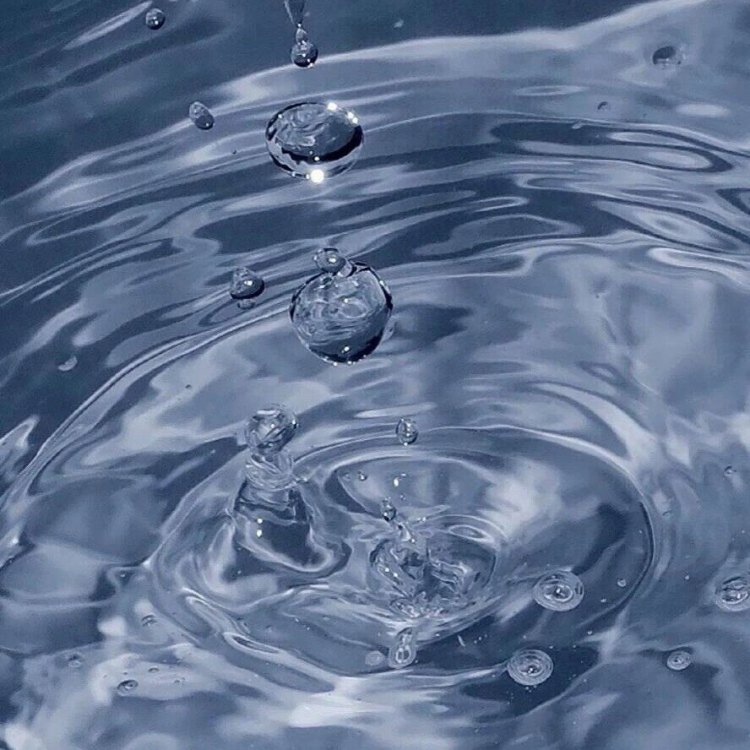 水的形状｜剧本图片2
