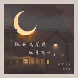 跟我去屋顶晒月亮吧｜作品封面