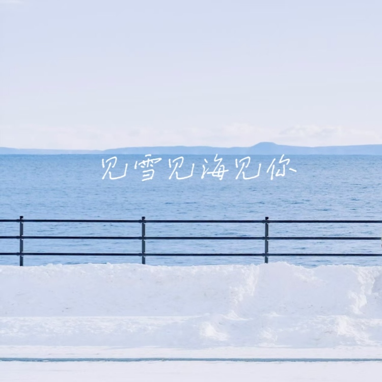 见雪 见海 见你 （沙漠番外）｜作品封面