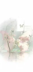 漾炀②｜作品封面