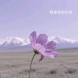 格桑花的告别｜剧本封面