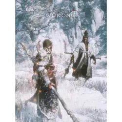 黑神话悟空【二郎神】｜作品封面