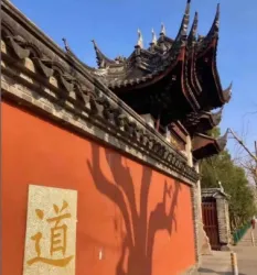佛不度道｜作品封面