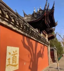 既度众生，何不度我｜作品封面
