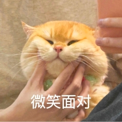 一个大聪明｜剧本封面