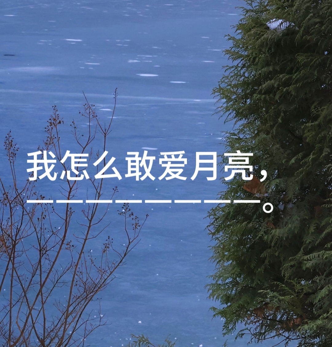 我怎么敢爱月亮|剧本图片1