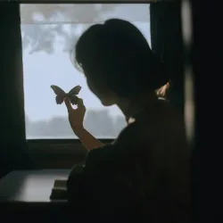 祸水｜作品封面