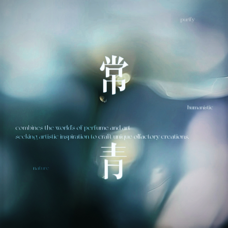 常青｜作品封面
