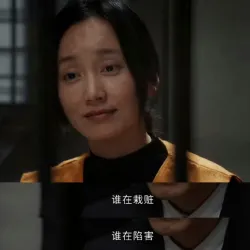 以法之名：谁在栽赃 谁在陷害｜作品封面
