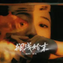 搁浅始末｜作品封面