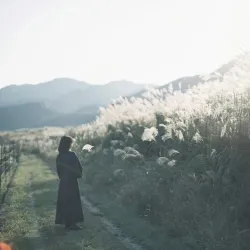 蒲公英与野火｜作品封面