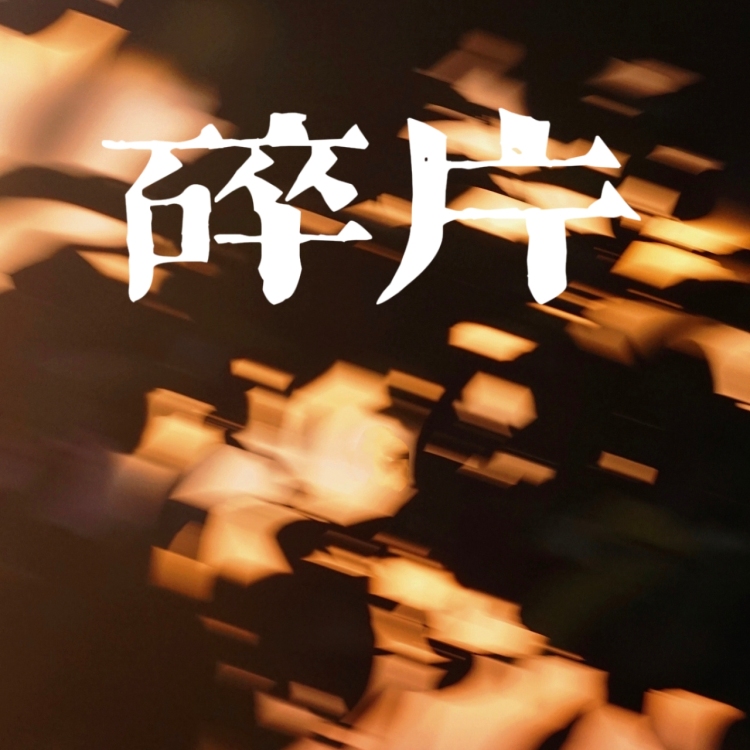碎片｜作品封面