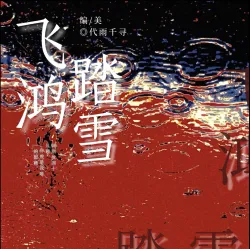飞鸿踏雪｜作品封面