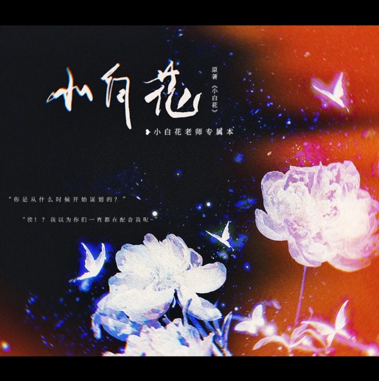 小白花｜作品封面