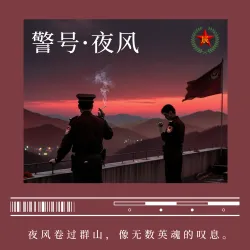 警号·夜风｜作品封面