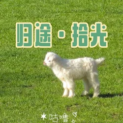 归途·拾光｜作品封面