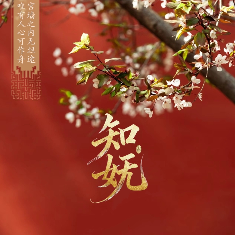 知妩｜作品封面