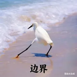 边界｜作品封面