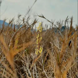 看护神｜作品封面