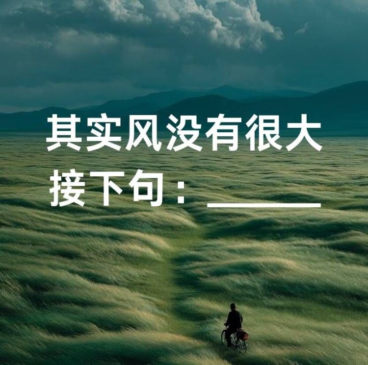 其实风没有很大｜作品封面