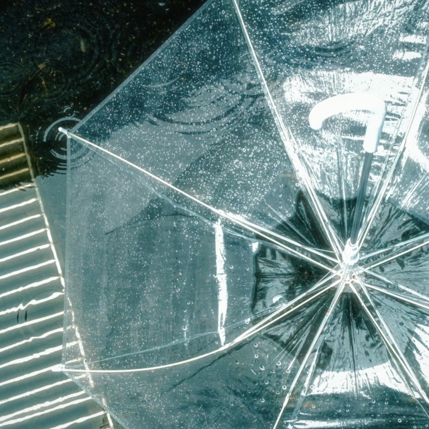 落雨 - script image 1