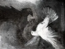 窥探｜作品封面