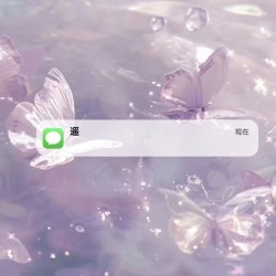 遥｜剧本封面