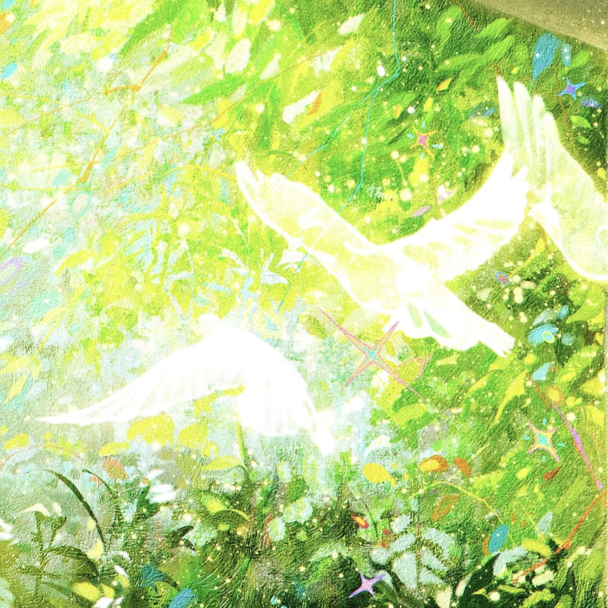 春禾｜阿光角色头像