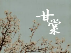 甘棠｜作品封面
