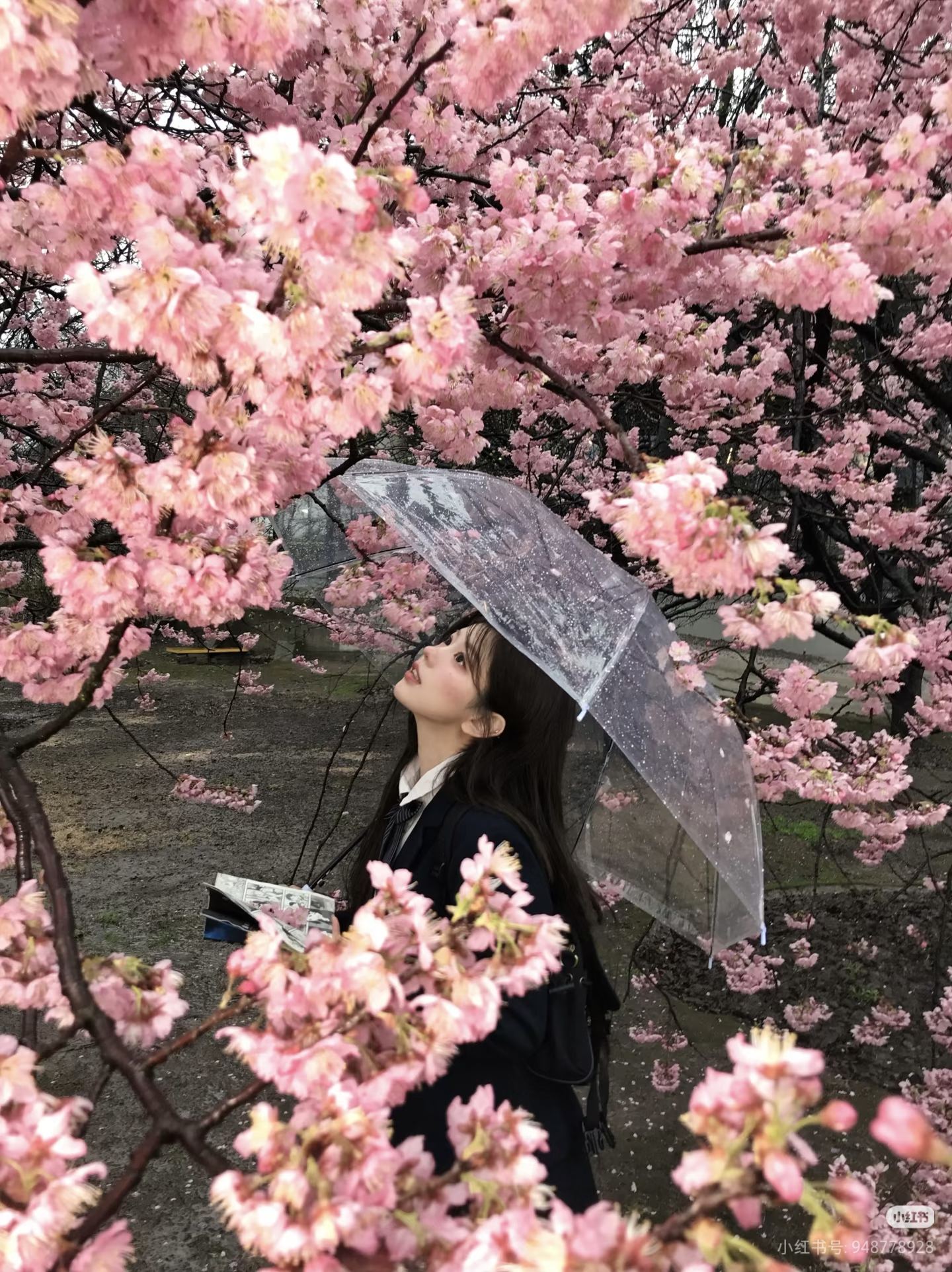 春·花窗风月｜虞月角色头像