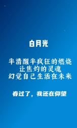 白月光｜剧本封面