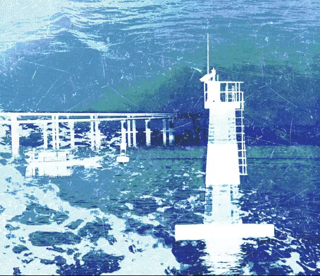 海鸟｜姐婆角色头像