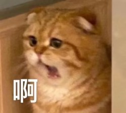 日子很狗但我不敢骂它｜剧本封面