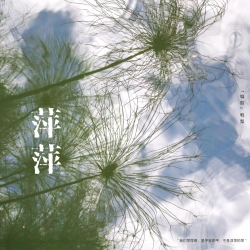 萍萍｜剧本封面