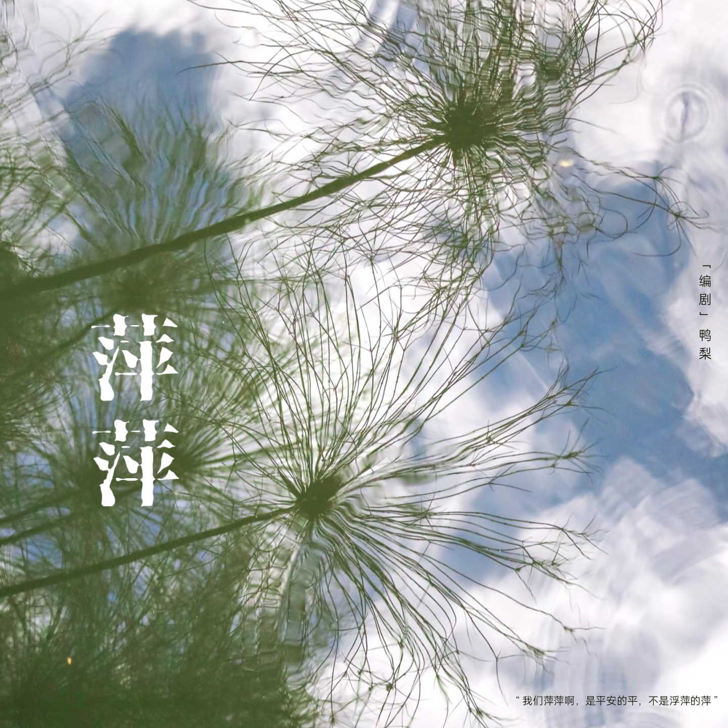 萍萍｜阿婆角色头像