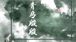 青鸟殷殷［一卷］｜剧本封面