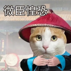 微臣惶恐！ - script cover